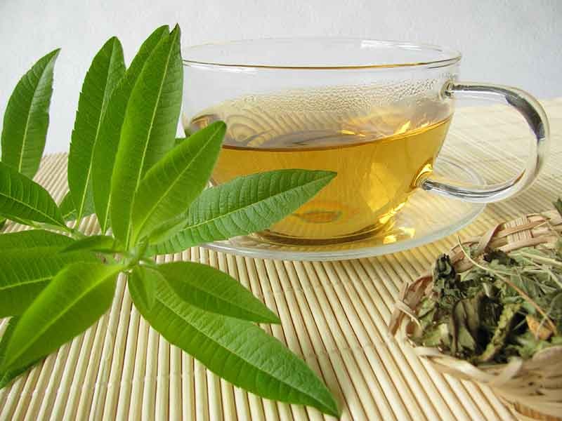 How Did Lavender Tea Complete May Be The Italian National Brew?